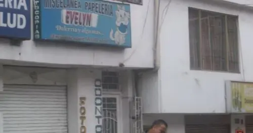 MISCELANEA PAPELERIA EVELYN MISCELANEA PAPELERIA EVELYN
